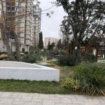 Kirayə (aylıq) 2 otaqlı Yeni Tikili, Nəriman Nərimanov metrosu, Nərimanov rayonu 34