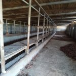 Satılır Obyekt, Binə qəs., Xəzər rayonu 10