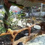 Kirayə (günlük) 3 otaqlı Həyət evi/villa Qax 21