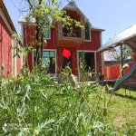 Kirayə (günlük) 5 otaqlı Həyət evi/villa Qəbələ 8