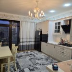 Kirayə (aylıq) 3 otaqlı Yeni Tikili, 8 Noyabr metrosu, Yasamal qəs., Yasamal rayonu 12