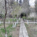 Satılır 8 otaqlı Bağ evi, Novxanı, Abşeron rayonu 38