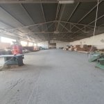 Kirayə (aylıq) Obyekt Sumqayıt 11