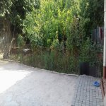 Satılır 3 otaqlı Həyət evi/villa İsmayıllı 1