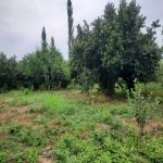 Satılır Torpaq İsmayıllı 7