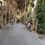 Satılır Obyekt Xırdalan 25