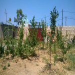 Satılır 5 otaqlı Bağ evi, Novxanı, Abşeron rayonu 16