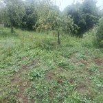 Satılır Torpaq Qəbələ 5
