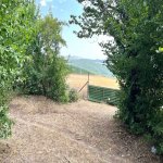 Satılır Torpaq İsmayıllı 9