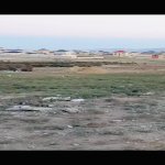 Satılır Torpaq, Saray, Abşeron rayonu 4