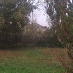Satılır Torpaq Qəbələ 4