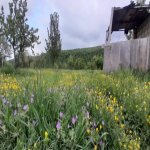 Satılır 5 otaqlı Həyət evi/villa Quba 6