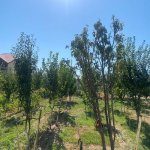 Satılır Torpaq, Buzovna, Xəzər rayonu 2
