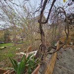 Продажа Участок, пос. Бадамдар, Сябаиль район 4