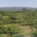 Kirayə (günlük) 3 otaqlı Bağ evi Quba 26