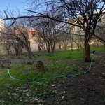 Satılır 4 otaqlı Həyət evi/villa, Nəsimi metrosu, Binəqədi rayonu 20