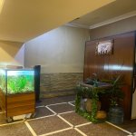 Продажа Объект, м. 8 Ноябрь метро, Насими район 9