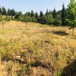 Satılır Torpaq, Bilgəh qəs., Sabunçu rayonu 4