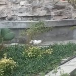 Satılır 5 otaqlı Həyət evi/villa, Yeni Günəşli qəs., Suraxanı rayonu 25