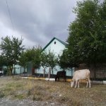 Kirayə (günlük) 2 otaqlı Həyət evi/villa İsmayıllı 18
