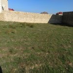 Satılır Torpaq, Saray, Abşeron rayonu 8
