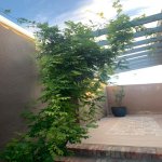 Satılır 4 otaqlı Bağ evi, Mərdəkan, Xəzər rayonu 8