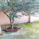 Satılır 3 otaqlı Həyət evi/villa, Novxanı, Abşeron rayonu 13