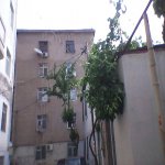 Kirayə (aylıq) 1 otaqlı Köhnə Tikili, Avtovağzal metrosu, Biləcəri qəs., Binəqədi rayonu 17