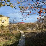 Satılır 5 otaqlı Həyət evi/villa, Novxanı, Abşeron rayonu 5