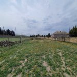 Satılır Torpaq, Goradil, Abşeron rayonu 1