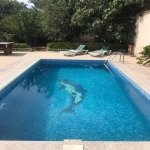 Kirayə (aylıq) 5 otaqlı Bağ evi, Novxanı, Abşeron rayonu 2