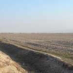 Satılır Torpaq Xızı 2