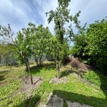 Satılır 6 otaqlı Həyət evi/villa İsmayıllı 1