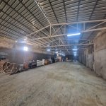 Kirayə (aylıq) Obyekt, Binəqədi rayonu 5