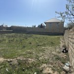 Satılır Torpaq, Saray, Abşeron rayonu 1