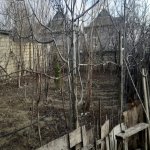 Satılır Torpaq, Masazır, Abşeron rayonu 3