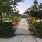 Продажа 8 комнатная Дача, пос. Пиршаги, Сабунчу район 16