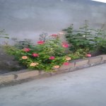 Satılır 4 otaqlı Həyət evi/villa, Ceyranbatan qəs., Abşeron rayonu 23