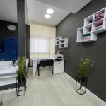 Kirayə (aylıq) Obyekt, Nəsimi rayonu 2