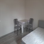 Kirayə (aylıq) 1 otaqlı Həyət evi/villa, Binəqədi qəs., Binəqədi rayonu 12
