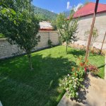Kirayə (günlük) 4 otaqlı Həyət evi/villa Qəbələ 8