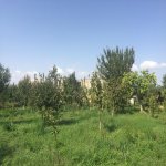 Satılır Torpaq Ağdaş 6