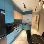 Kirayə (aylıq) 2 otaqlı Yeni Tikili, Nəsimi rayonu 13
