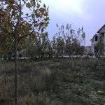 Satılır Torpaq, Şüvəlan, Xəzər rayonu 1