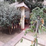 Kirayə (aylıq) 7 otaqlı Həyət evi/villa, Qaraçuxur qəs., Suraxanı rayonu 44