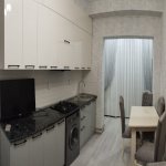 Kirayə (aylıq) 2 otaqlı Yeni Tikili, Nərimanov rayonu 2