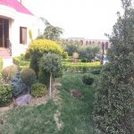Satılır 11 otaqlı Bağ evi, Novxanı, Abşeron rayonu 6