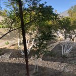 Kirayə (aylıq) 5 otaqlı Həyət evi/villa, Mərdəkan, Xəzər rayonu 25