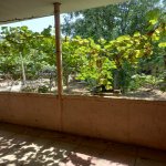 Satılır 6 otaqlı Həyət evi/villa, Əmircan qəs., Suraxanı rayonu 6