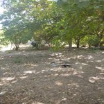 Satılır Torpaq, Neftçilər metrosu, Nizami rayonu 1